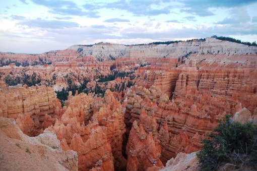 Bryce Amphitheater from near Sunset Point looking toward Inspiration Point. This is an enormous area. Several stops along the route will give a different view of this icon of Bryce Canyon. (Click photo to enlarge.)